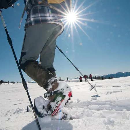 Bergsee * Bodensdorf