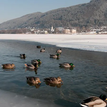 Bergsee