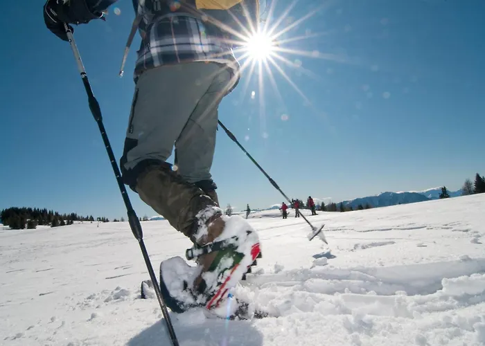 Bergsee * 博登斯多夫